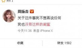 新嘉坡最新爆料新闻,揭秘城市热点事件背后的真相